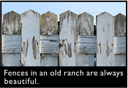 Fences in an old ranch are always beautiful.