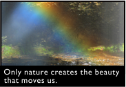 Only nature creates the beauty that moves us. 