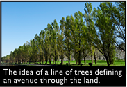 The idea of a line of trees defining an avenue through the land. 
